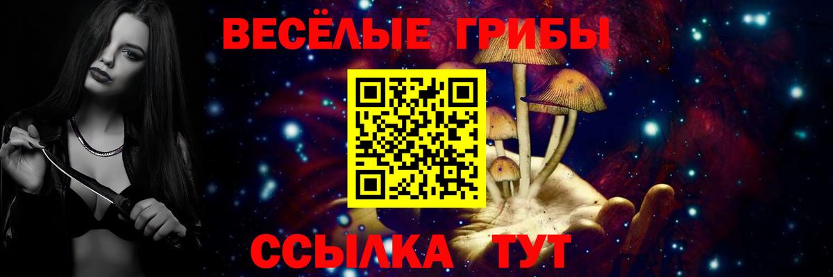 Псилоцибиновые грибы мухоморы Кемерово